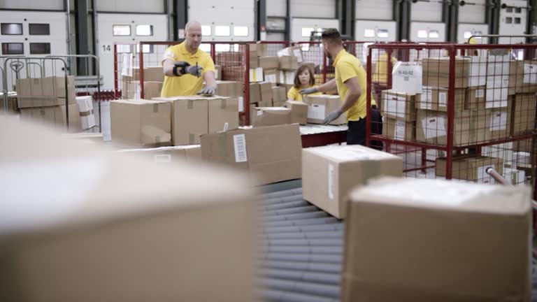 Package Delivery Support
